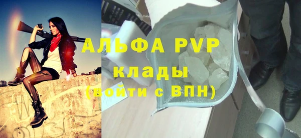 стафф Алексин